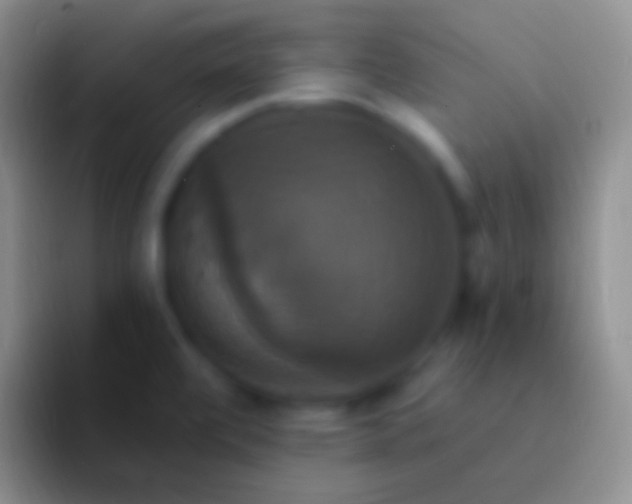 X0000092111472200709262150