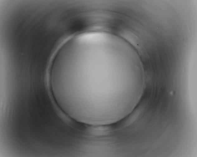 X0000092111474200709262150