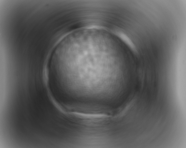 X0000092111476200709262150