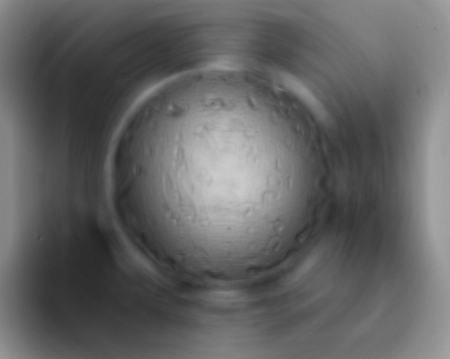 X0000092111479200709262150