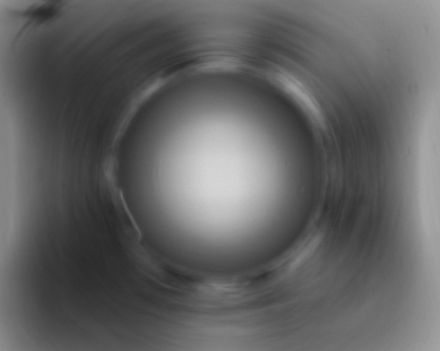 X0000092111481200709262150