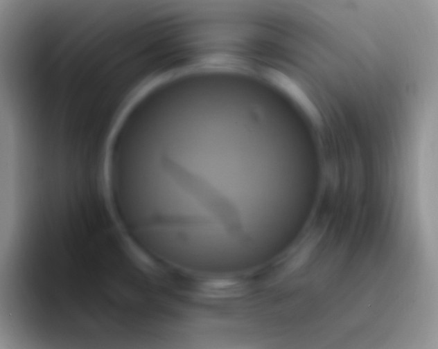 X0000092111482200709262150