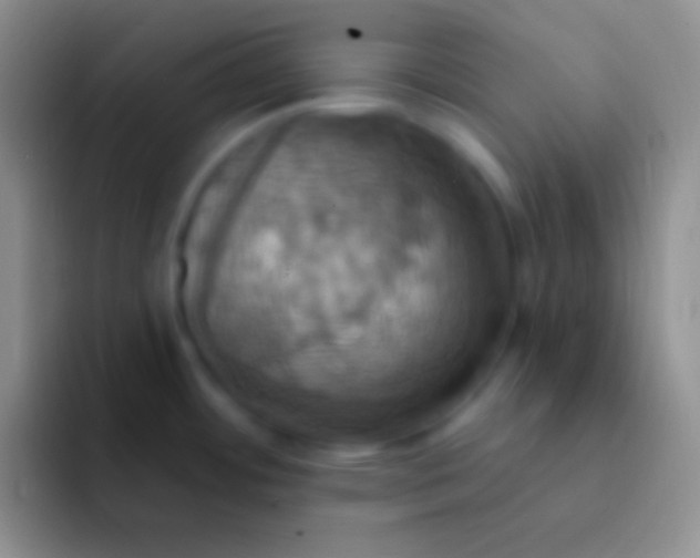 X0000092111484200709262150