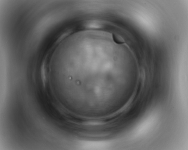 X0000092111487200709262150