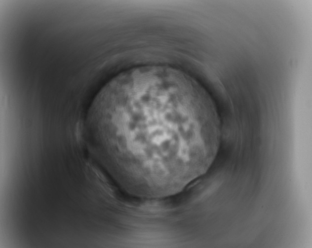 X0000092111490200709262149