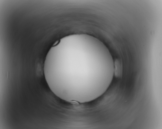 X0000092111491200709262149