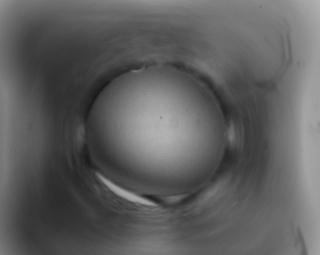 X0000092111492200709262149