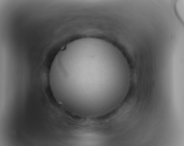 X0000092111493200709262149