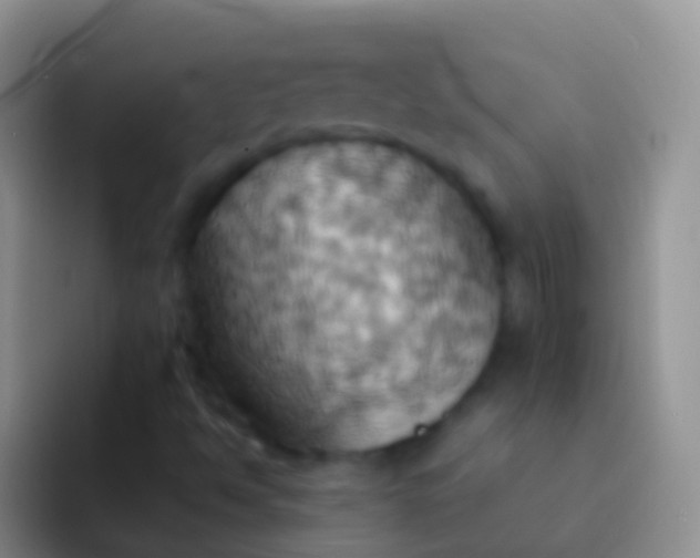 X0000092111494200709262149