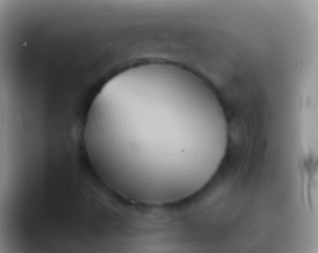 X0000092111495200709262149