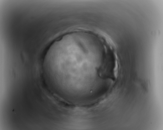 X0000092111496200709262149