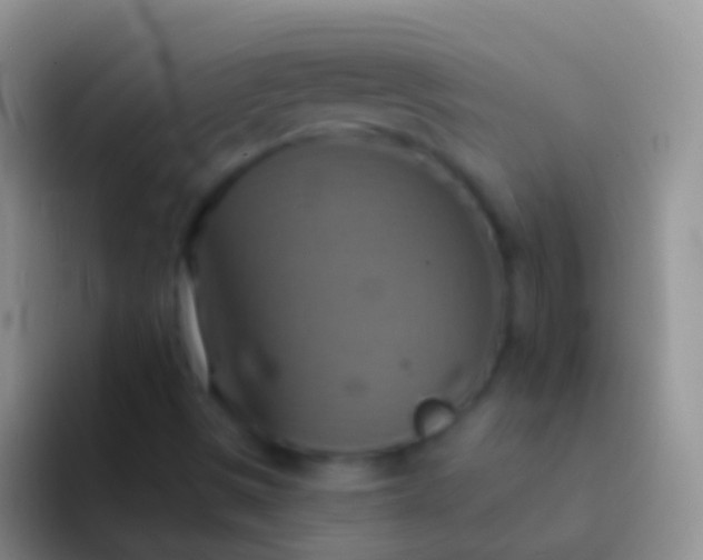 X0000092111497200709262149