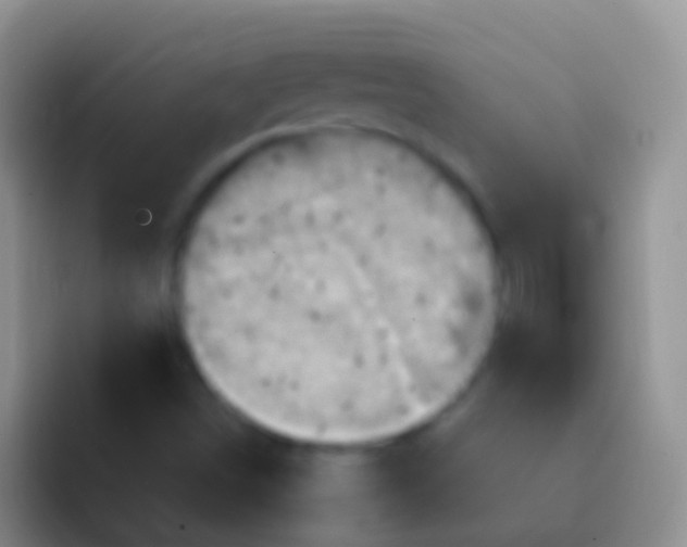 X0000092111498200709262149