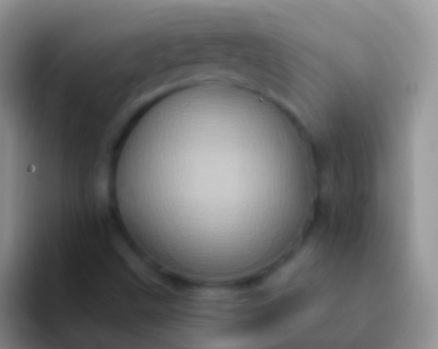 X0000092111499200709262149