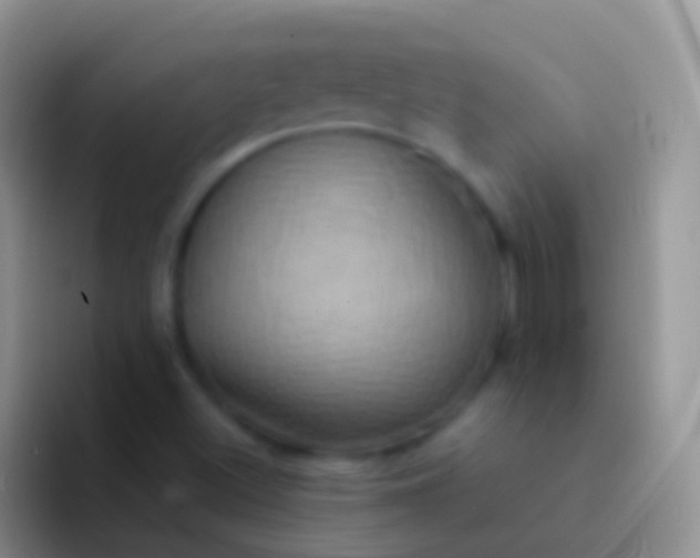 X0000092111500200709262149