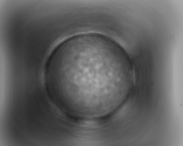 X0000092111501200709262149