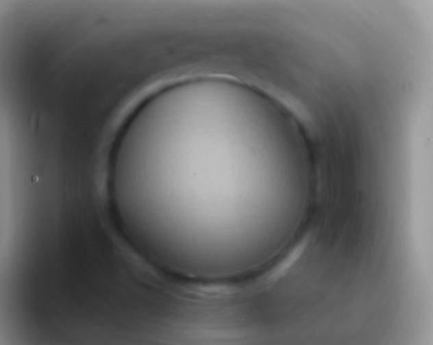 X0000092111502200709262150