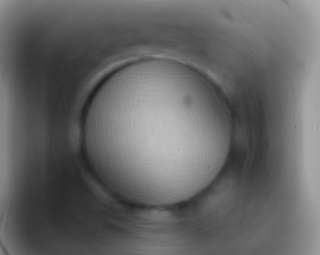 X0000092111503200709262150