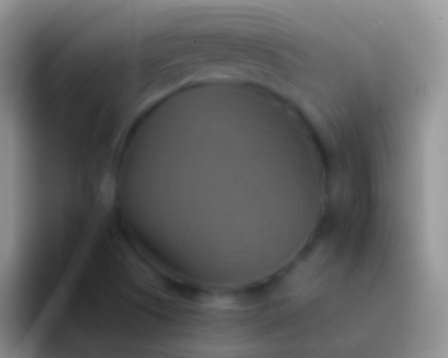 X0000092111505200709262150