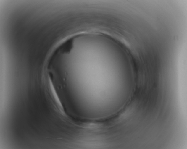 X0000092111506200709262150