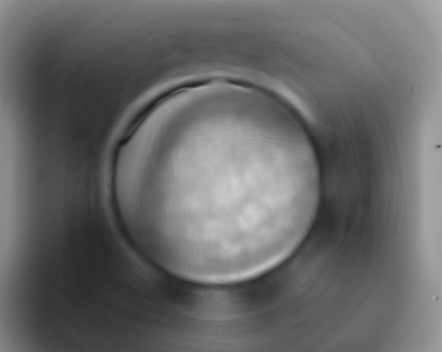 X0000092111508200709262150