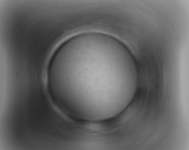 X0000092111511200709262150