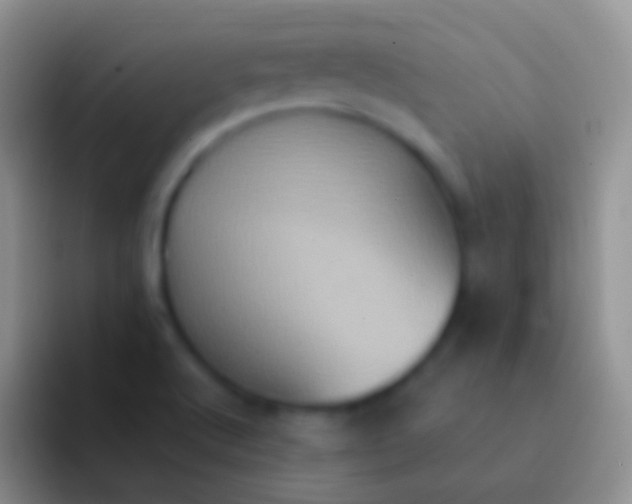 X0000092111512200709262150