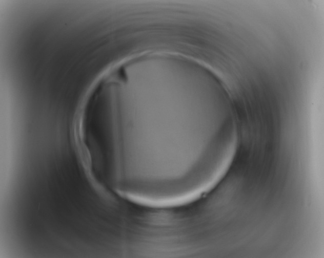 X0000092111515200709262150