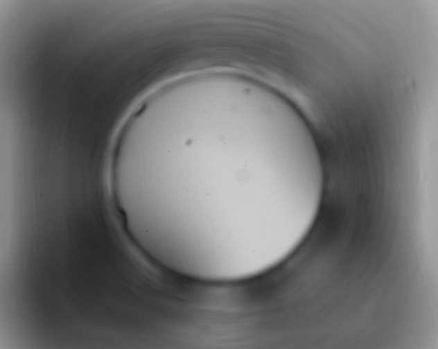 X0000092111516200709262150