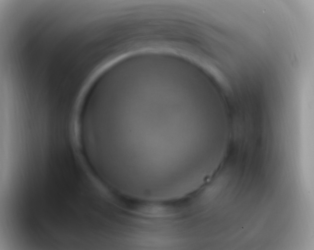 X0000092111517200709262150