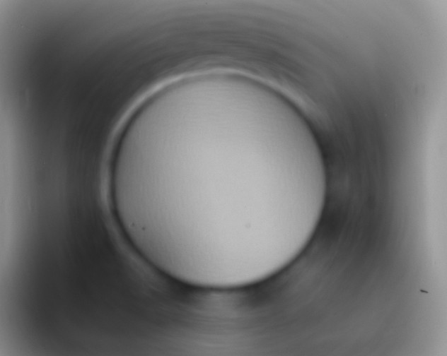 X0000092111518200709262150