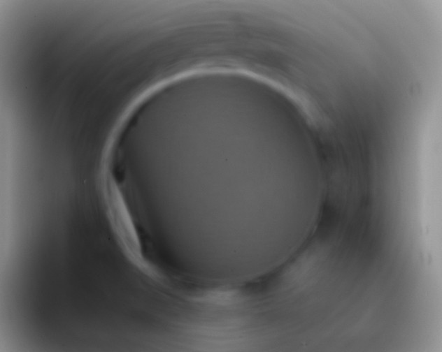 X0000092111519200709262150