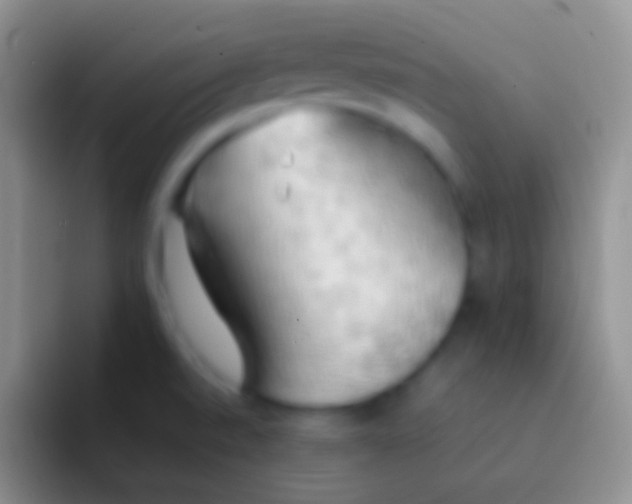 X0000092111520200709262150