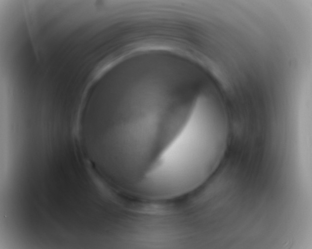 X0000092111521200709262150