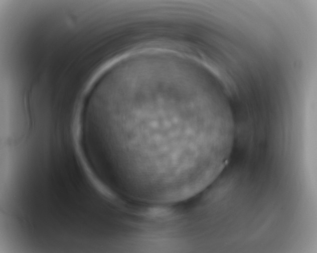 X0000092111523200709262150