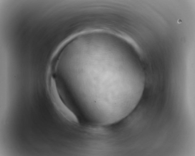 X0000092111524200709262150