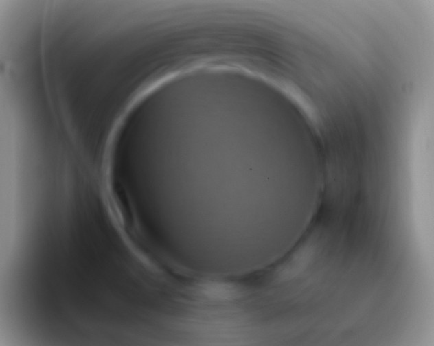 X0000092111525200709262150