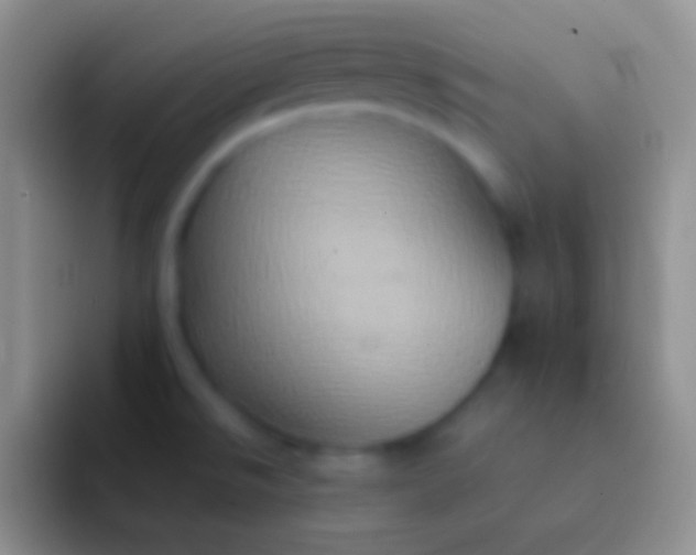 X0000092111526200709262150