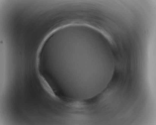 X0000092111527200709262150