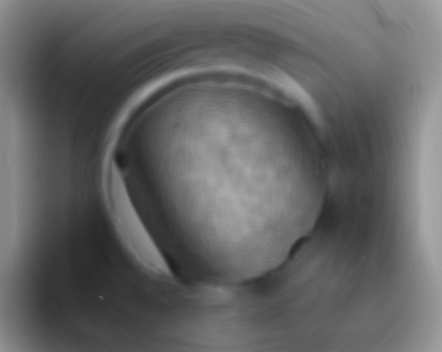 X0000092111528200709262150