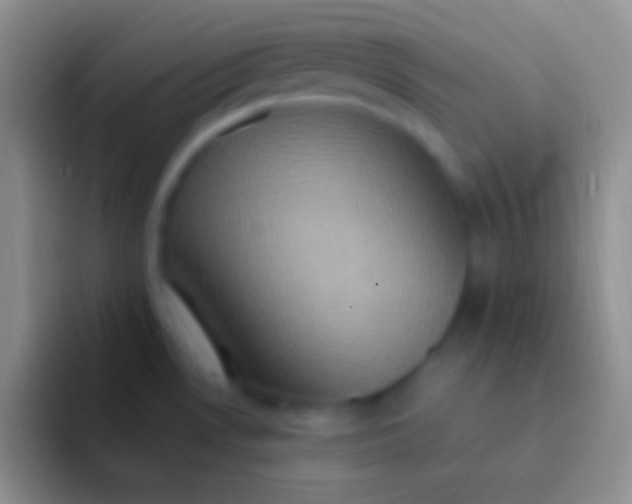 X0000092111530200709262150