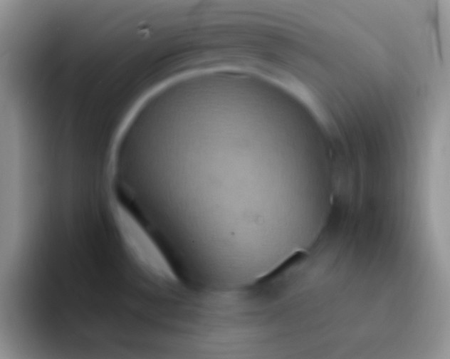 X0000092111532200709262150