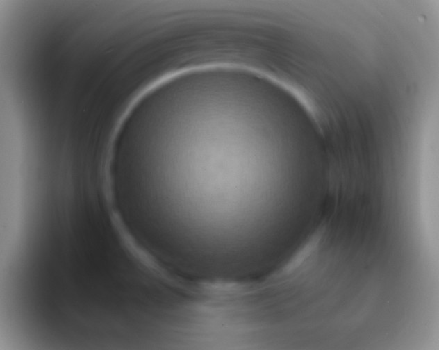 X0000092111534200709262150