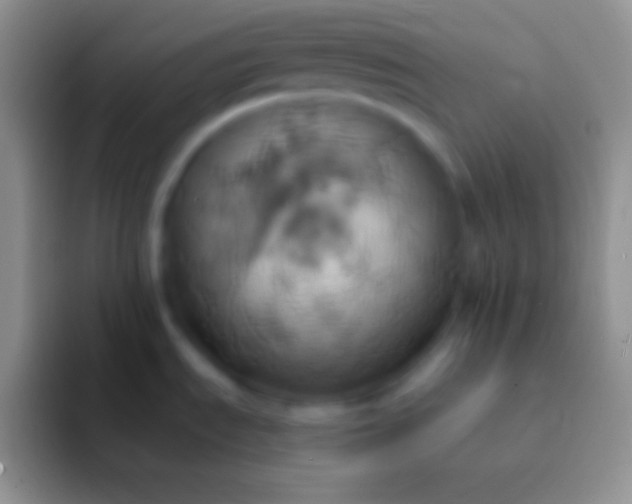 X0000092111535200709262150