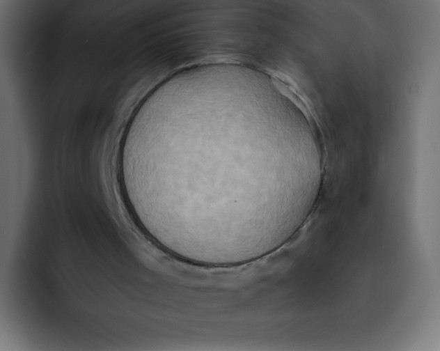 X0000092110001200710031239