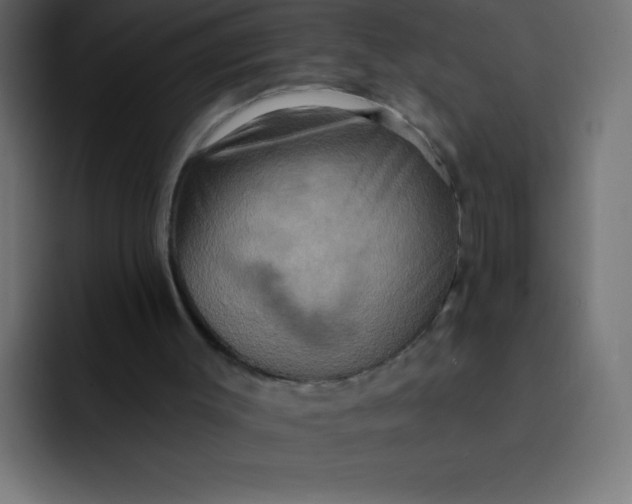 X0000092110003200710031239