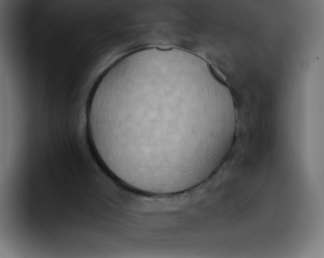 X0000092110005200710031239