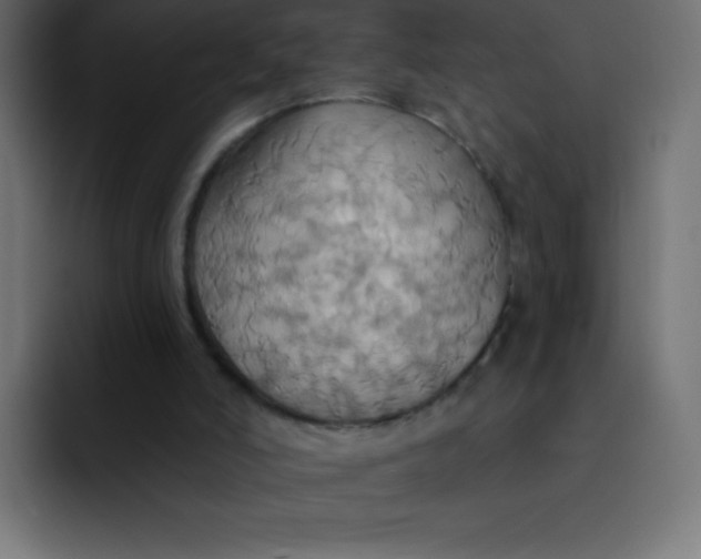 X0000092110006200710031239