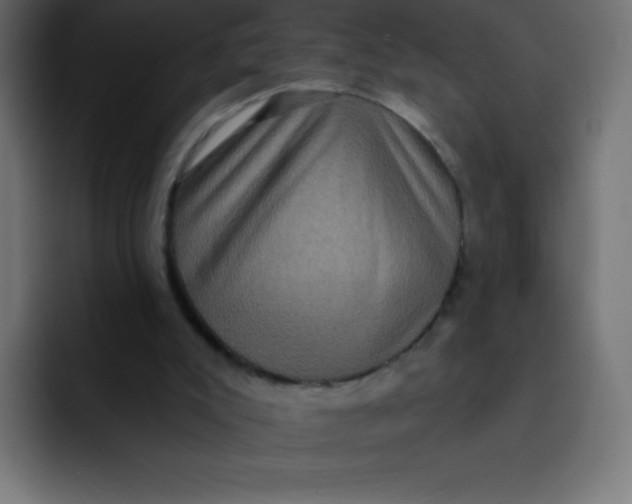 X0000092110007200710031239