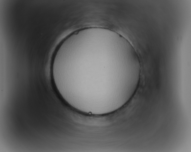 X0000092110008200710031239